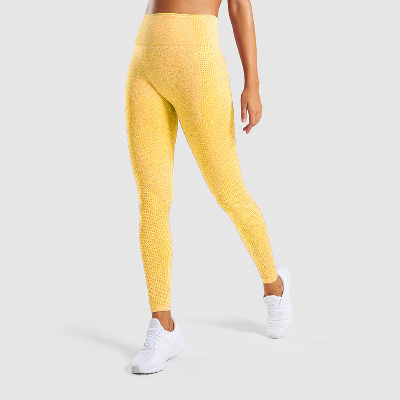Seamless Jacquard Little Gym Leggings