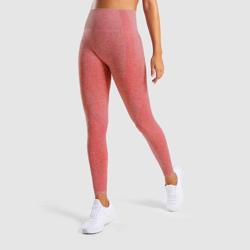 Seamless Jacquard Little Gym Leggings